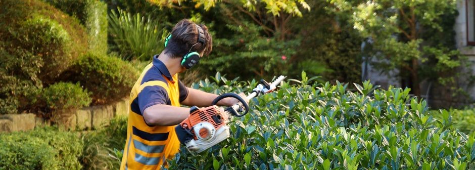 contact iScape garden experts