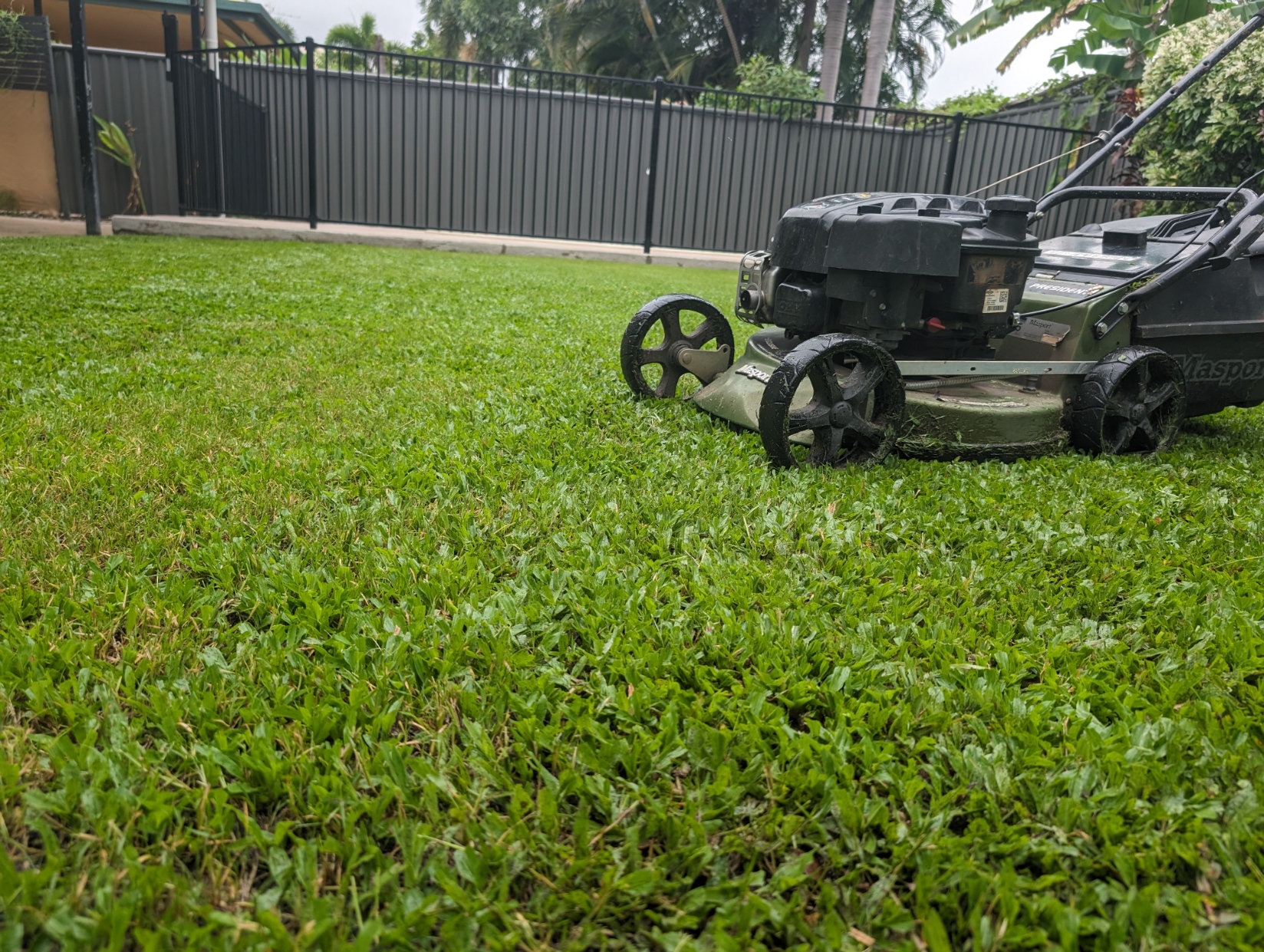 Lawn Maintenance Services