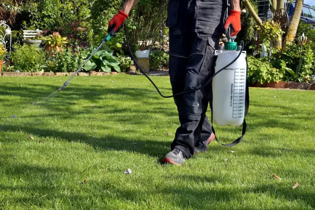 Weed Control: Keeping Your Property Pristine and Weed-Free