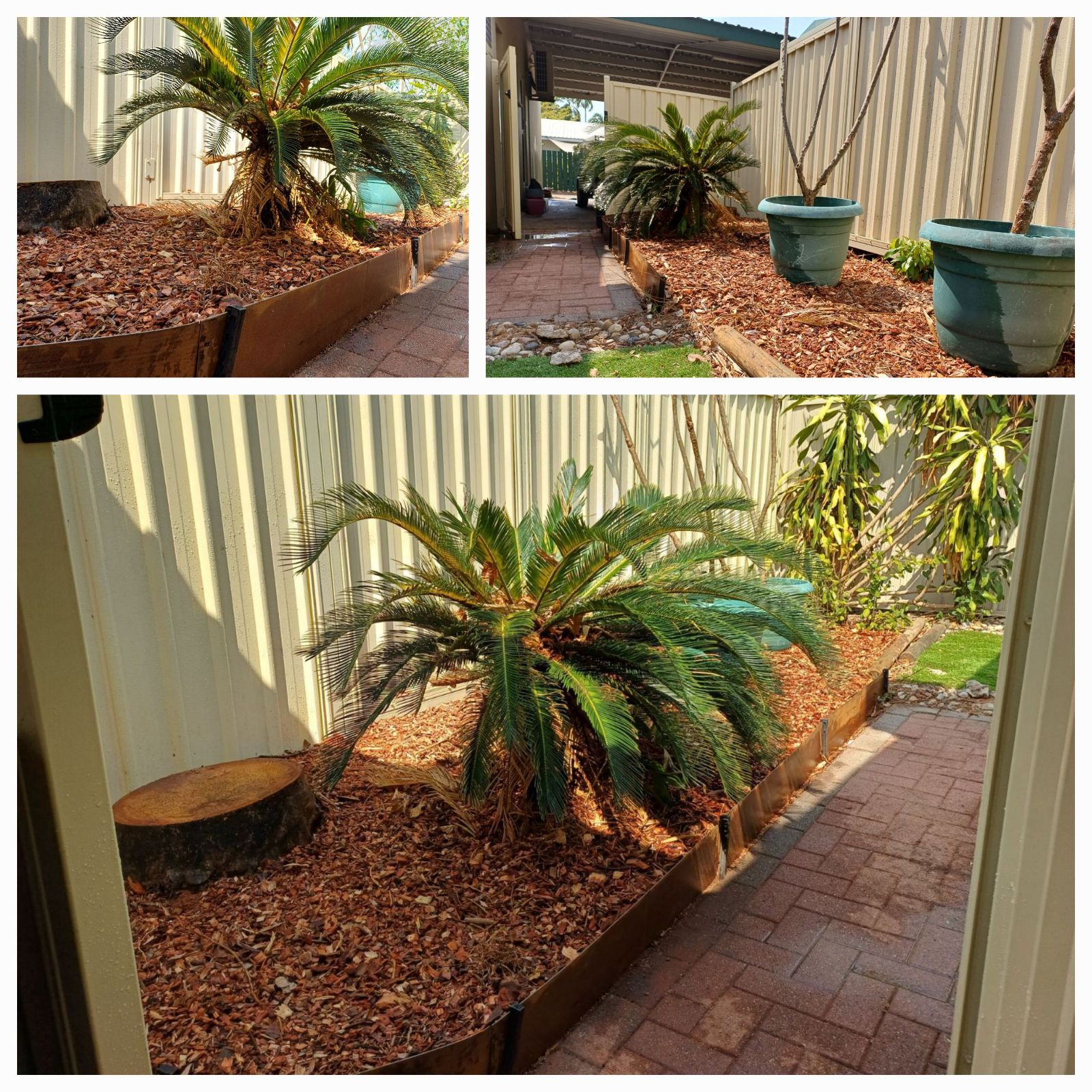 About iScape Garden Experts